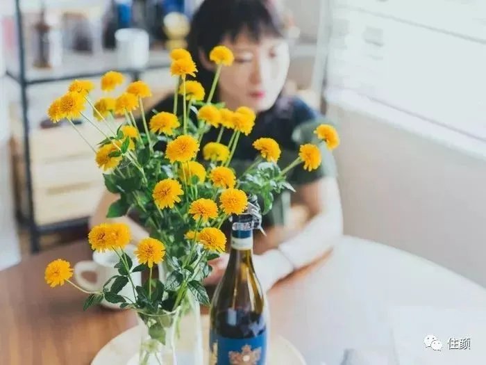 买房、独居、不婚、不生，这届女性实在是太牛了！