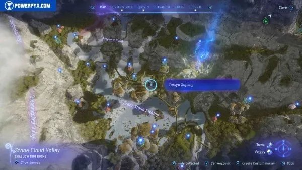 《阿凡达潘多拉边境》塔休幼苗位置汇总 塔休幼苗收集攻略