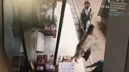 快递员迟到遭殴打后续如何？