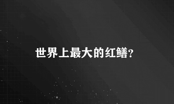 世界上最大的红鳝？