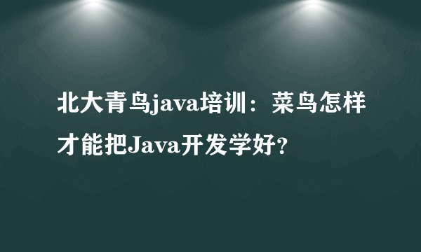 北大青鸟java培训：菜鸟怎样才能把Java开发学好？