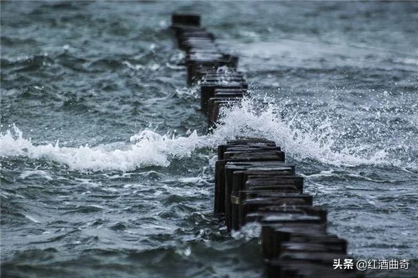 主角叫杨雨欣和老周的小说叫什么名字？