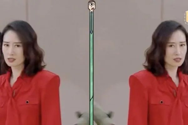 刘敏涛跳无价之姐的表情，刘敏涛跳无价之姐是在哪个节目？