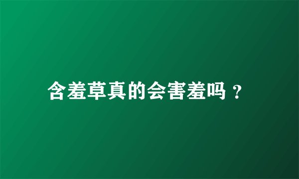 含羞草真的会害羞吗 ？