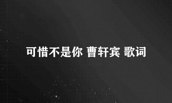 可惜不是你 曹轩宾 歌词